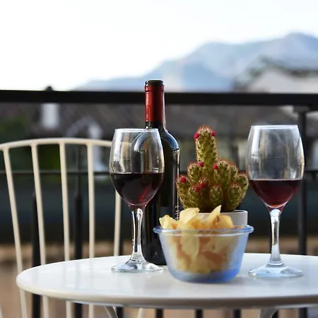 Gasthuis Papillon Palermo